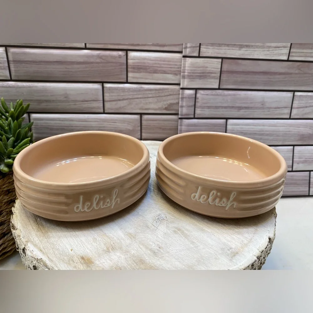 Raedunn “delish“cat & small dog bowls 🐱 🐶 set of 2 dusty pink New